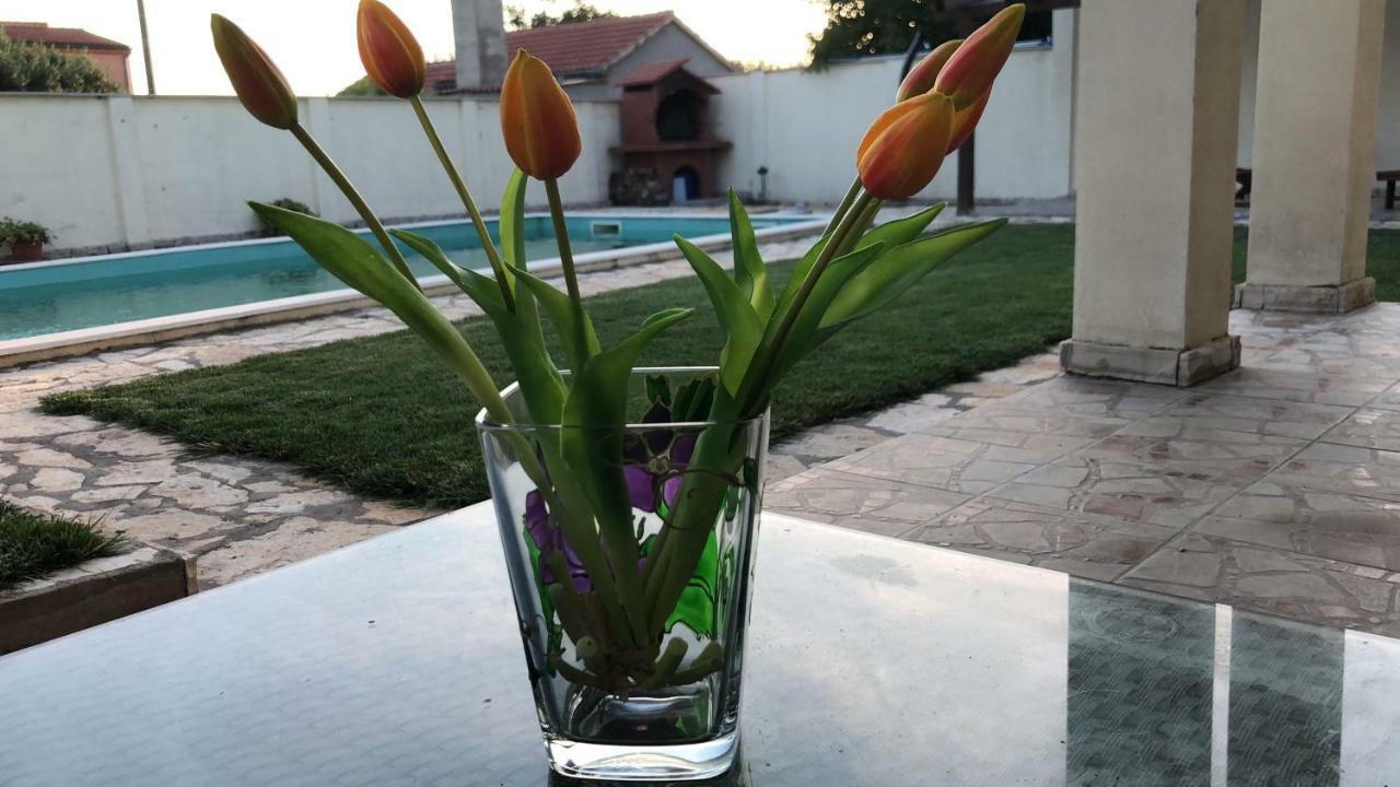 Villa Pistan Murvica  Екстериор снимка
